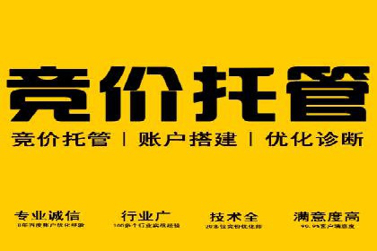百度竞价策略成功案例：如何做到日赚千元